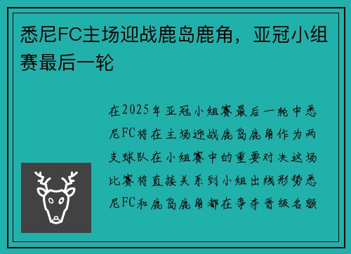 悉尼FC主场迎战鹿岛鹿角，亚冠小组赛最后一轮