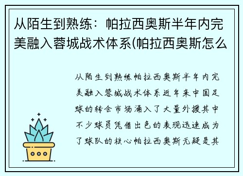 从陌生到熟练：帕拉西奥斯半年内完美融入蓉城战术体系(帕拉西奥斯怎么样)
